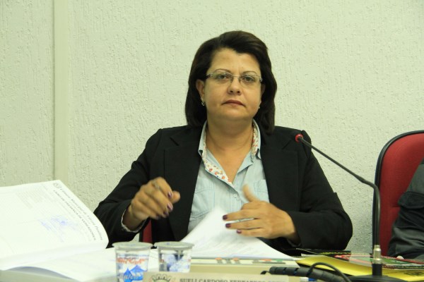 Vereador Sueli